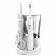 White complete care Waterpik water flosser